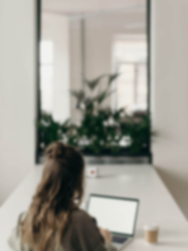 მონაცემების ორგანიზება Gemini-ით