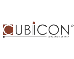 Cubicon, Geosoft client and user